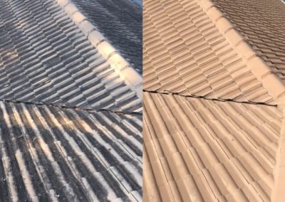 Cleaning roof tiles