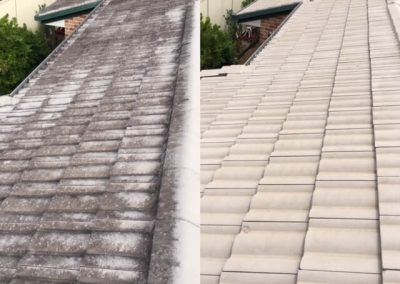 Bring your tiled roof to life