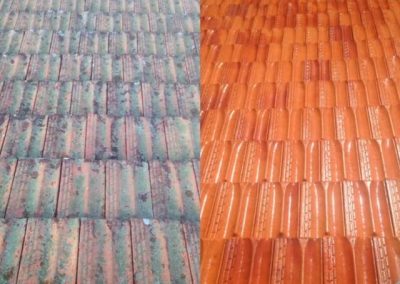 Before and after roof tile cleaning