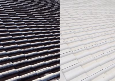 Before and after roof tile cleaning