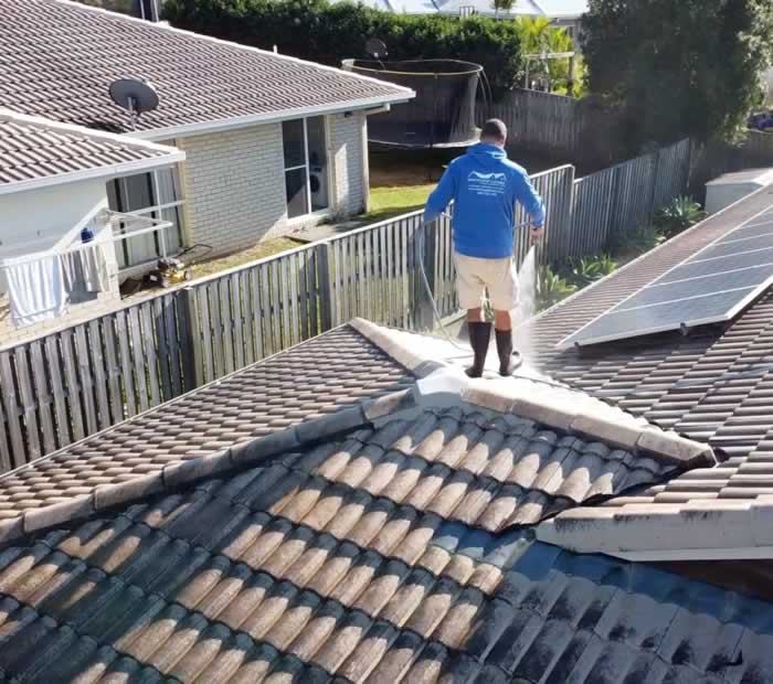 soft-washing-preparation Soft wash roof cleaning